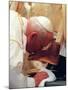 Pope John Paul II Kisses the Foot of a Clergyman-null-Mounted Premium Photographic Print