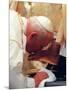 Pope John Paul II Kisses the Foot of a Clergyman-null-Mounted Photographic Print