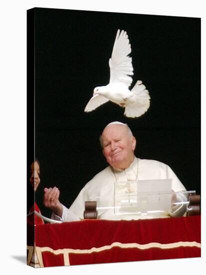 Pope John Paul II Looks at a White Dove After the Angelus Prayer in St. Peter's Square, at Vatican-null-Stretched Canvas