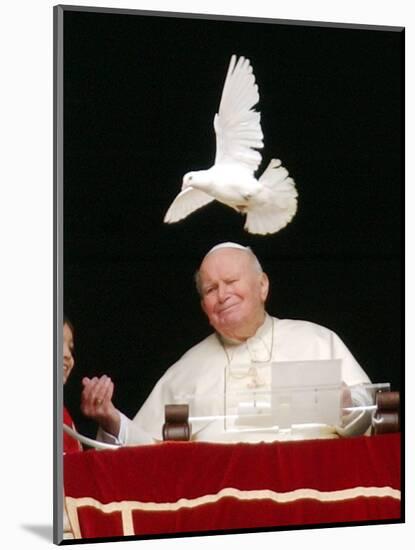 Pope John Paul II Looks at a White Dove After the Angelus Prayer in St. Peter's Square, at Vatican-null-Mounted Photographic Print