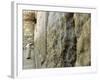 Pope John Paul II Rests His Hand on the Western Wall-null-Framed Photographic Print