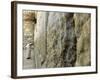 Pope John Paul II Rests His Hand on the Western Wall-null-Framed Photographic Print