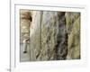 Pope John Paul II Rests His Hand on the Western Wall-null-Framed Photographic Print