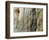 Pope John Paul II Rests His Hand on the Western Wall-null-Framed Photographic Print