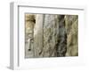 Pope John Paul II Rests His Hand on the Western Wall-null-Framed Photographic Print