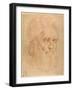 Pope Julius II, after a Cartoon by Raphael-Raphael-Framed Giclee Print