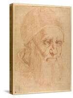 Pope Julius II, after a Cartoon by Raphael-Raphael-Stretched Canvas