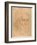 Pope Julius II, after a Cartoon by Raphael-Raphael-Framed Giclee Print