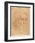 Pope Julius II, after a Cartoon by Raphael-Raphael-Framed Giclee Print