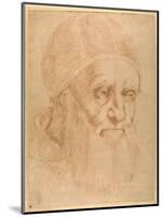 Pope Julius II, after a Cartoon by Raphael-Raphael-Mounted Giclee Print