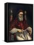 'Pope Julius II', c1512, (c1912)-Raphael-Framed Stretched Canvas