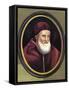 Pope Julius II Portrait-Raphael-Framed Stretched Canvas