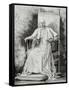 Pope Leo XIII (1810-1903)-null-Framed Stretched Canvas
