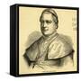 Pope Pius IX-null-Framed Stretched Canvas