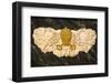 Pope's arms in St. Peter's church, Avignon, Vaucluse, France-Godong-Framed Photographic Print
