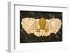 Pope's arms in St. Peter's church, Avignon, Vaucluse, France-Godong-Framed Photographic Print