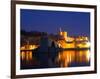 Pope's Palace on the Rhone and Pont Saint St. Benezet, Avignon, Vaucluse, Provence, France-Per Karlsson-Framed Photographic Print