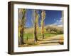 Poplar Alley, Omarama Valley, Canterbury, South Island, New Zealand, Pacific-Jochen Schlenker-Framed Photographic Print