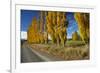 Poplar Trees and Farmland in Autumn, Near Lovells Flat, South Otago, South Island, New Zealand-David Wall-Framed Photographic Print