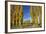 Poplar Trees and Farmland in Autumn, Near Lovells Flat, South Otago, South Island, New Zealand-David Wall-Framed Photographic Print