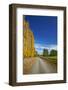 Poplar Trees in Autumn and Road, Near Lovells Flat, South Otago, South Island, New Zealand-David Wall-Framed Photographic Print