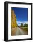 Poplar Trees in Autumn and Road, Near Lovells Flat, South Otago, South Island, New Zealand-David Wall-Framed Photographic Print