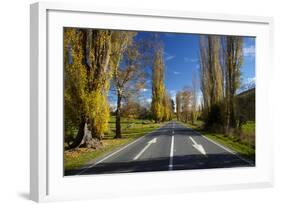 Poplar Trees in Autumn at Entrance to Lawrence, Central Otago, South Island, New Zealand-David Wall-Framed Photographic Print