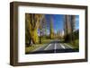 Poplar Trees in Autumn at Entrance to Lawrence, Central Otago, South Island, New Zealand-David Wall-Framed Photographic Print