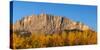 Poplar trees in autumn, Mount Yamnuska, Kananaskis Country, Alberta, Canada-null-Stretched Canvas