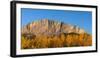 Poplar trees in autumn, Mount Yamnuska, Kananaskis Country, Alberta, Canada-null-Framed Photographic Print