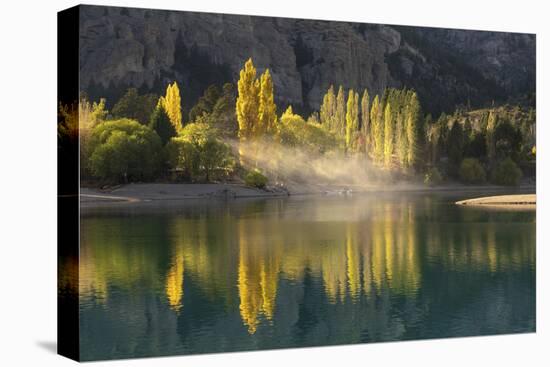 Poplar trees in autumnal colours, San Carlos de Bariloche, Patagonia, Argentina-Ed Rhodes-Stretched Canvas