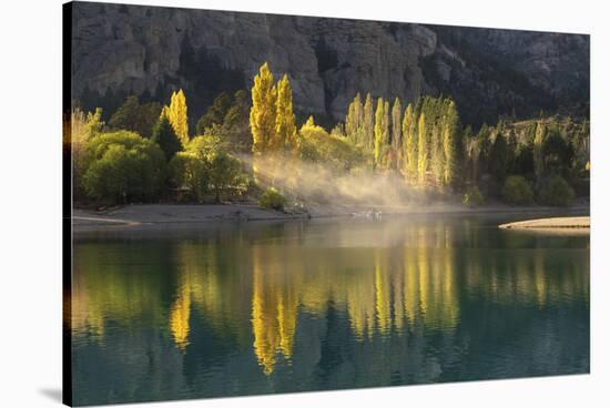 Poplar trees in autumnal colours, San Carlos de Bariloche, Patagonia, Argentina-Ed Rhodes-Stretched Canvas