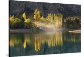 Poplar trees in autumnal colours, San Carlos de Bariloche, Patagonia, Argentina-Ed Rhodes-Stretched Canvas