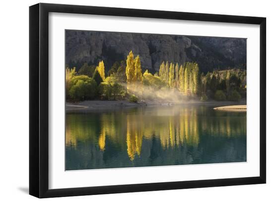 Poplar trees in autumnal colours, San Carlos de Bariloche, Patagonia, Argentina-Ed Rhodes-Framed Photographic Print