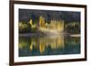 Poplar trees in autumnal colours, San Carlos de Bariloche, Patagonia, Argentina-Ed Rhodes-Framed Photographic Print