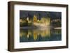 Poplar trees in autumnal colours, San Carlos de Bariloche, Patagonia, Argentina-Ed Rhodes-Framed Photographic Print