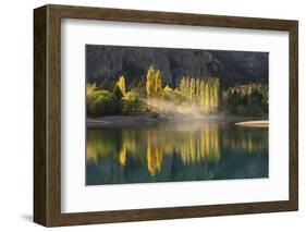 Poplar trees in autumnal colours, San Carlos de Bariloche, Patagonia, Argentina-Ed Rhodes-Framed Photographic Print