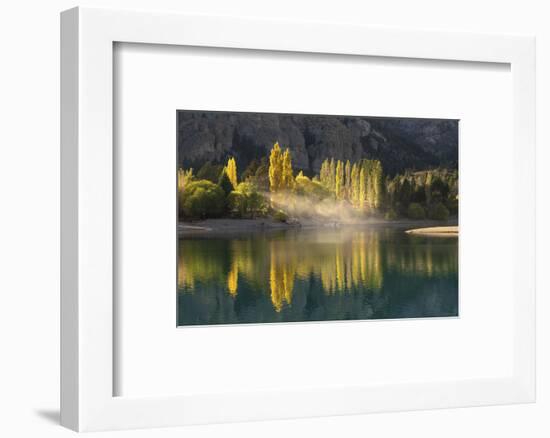 Poplar trees in autumnal colours, San Carlos de Bariloche, Patagonia, Argentina-Ed Rhodes-Framed Photographic Print