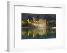 Poplar trees in autumnal colours, San Carlos de Bariloche, Patagonia, Argentina-Ed Rhodes-Framed Photographic Print