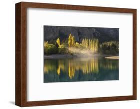 Poplar trees in autumnal colours, San Carlos de Bariloche, Patagonia, Argentina-Ed Rhodes-Framed Photographic Print