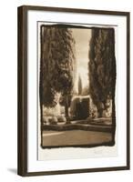 Poplar Trees, Italy-Theo Westenberger-Framed Photographic Print