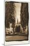 Poplar Trees, Italy-Theo Westenberger-Mounted Photographic Print