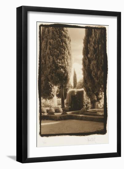 Poplar Trees, Italy-Theo Westenberger-Framed Photographic Print