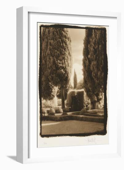 Poplar Trees, Italy-Theo Westenberger-Framed Photographic Print