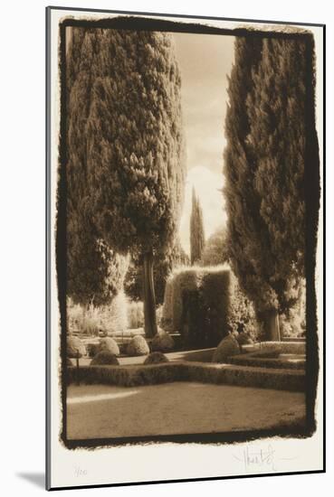 Poplar Trees, Italy-Theo Westenberger-Mounted Photographic Print