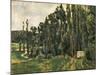 Poplars, 1879-1880-Paul Cézanne-Mounted Giclee Print