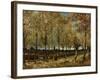 Poplars, 1885-Vincent van Gogh-Framed Giclee Print