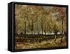 Poplars, 1885-Vincent van Gogh-Framed Stretched Canvas