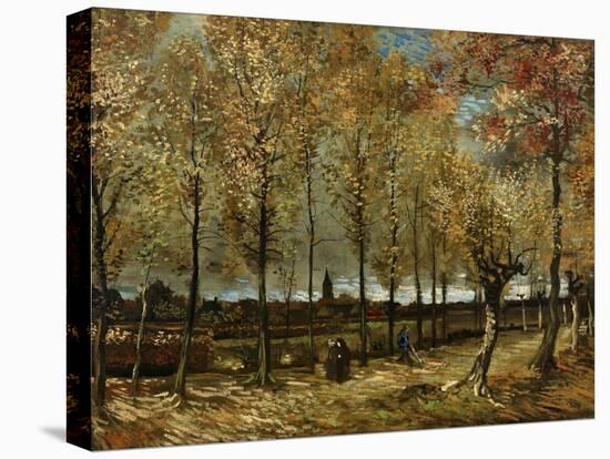 Poplars, 1885-Vincent van Gogh-Stretched Canvas