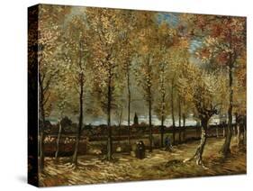 Poplars, 1885-Vincent van Gogh-Stretched Canvas